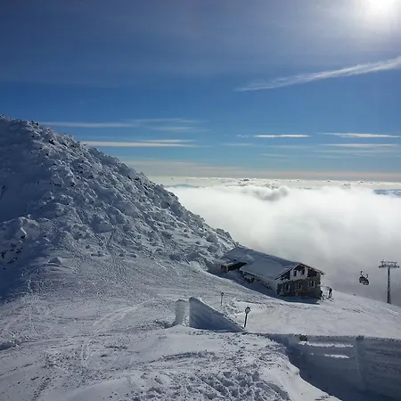 Lejlighed C.309 Tale